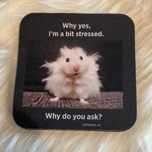 Load image into Gallery viewer, Funny Coasters
